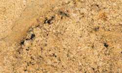 Juparana Saba Countertops NJ NY CT PA MA