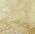 Classic Travertine