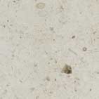 Limestone Natural Stone